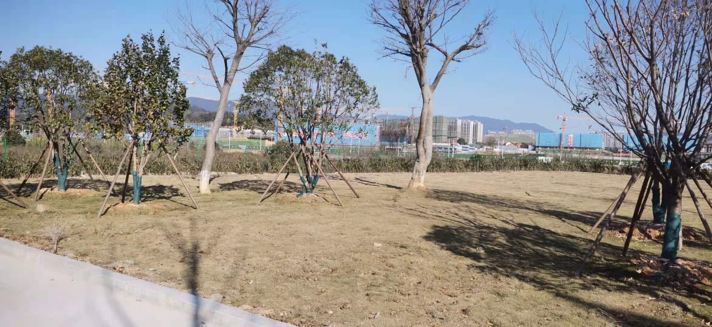 5.效劳区绿化2.jpg